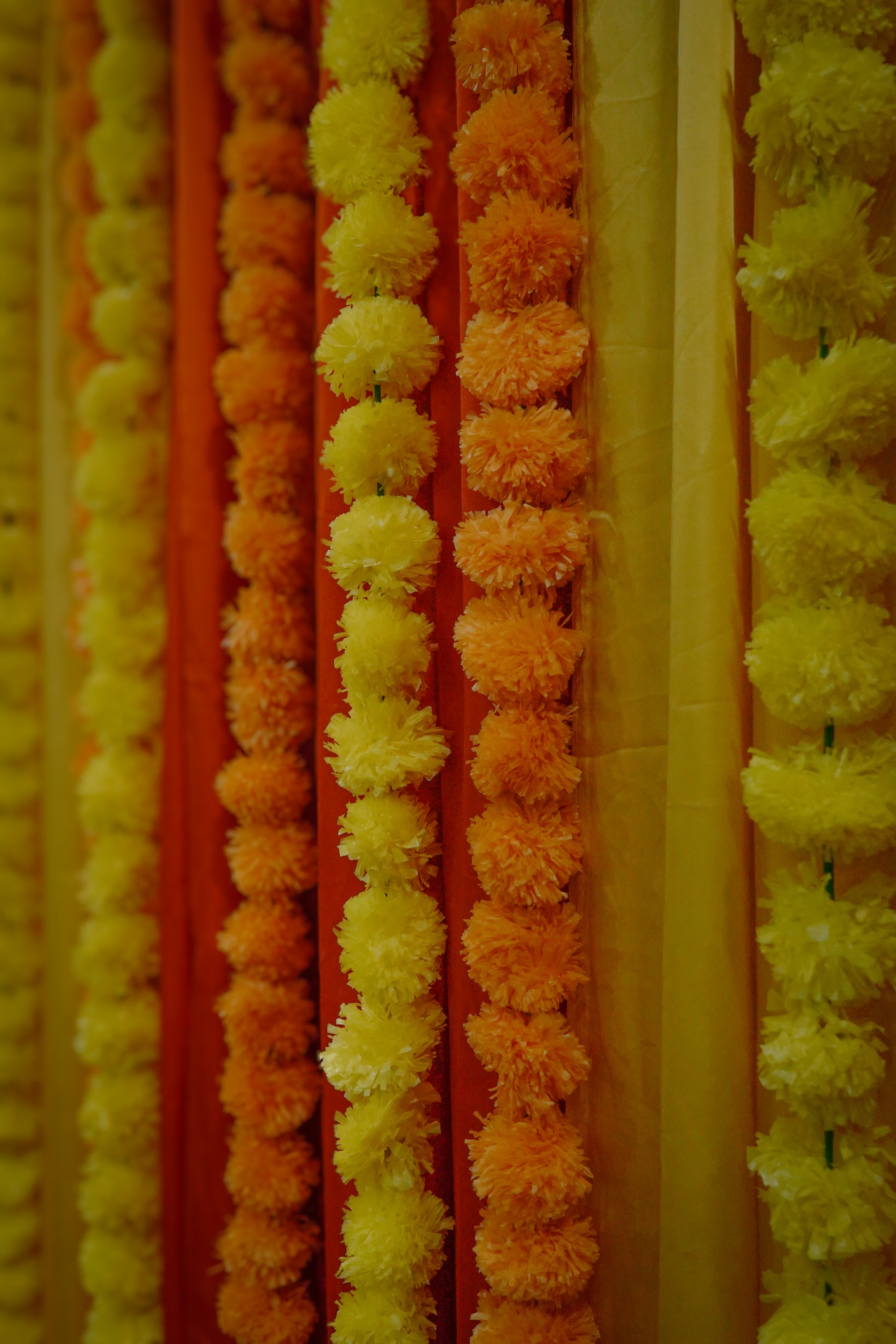 Haldi Lagoa - Read Description